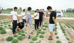 瓜瓜基地,绿色生态农业的璀璨明珠